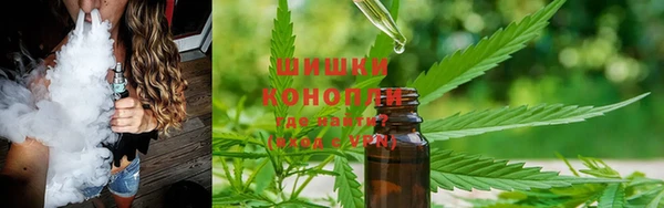 гашик Белоозёрский