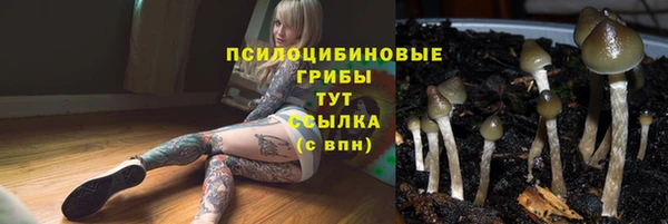 прущий лед Белокуриха
