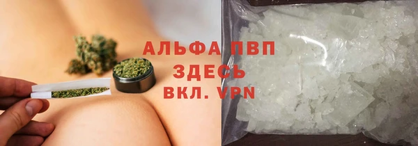 ALPHA PVP Беломорск