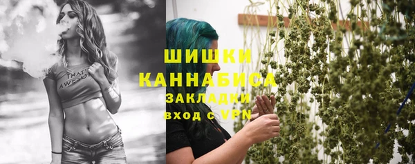 гашик Белоозёрский