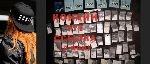 гашик Белоозёрский