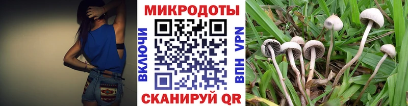 Купить  Комсомольск  Галлюциногенные грибы Magic Shrooms 